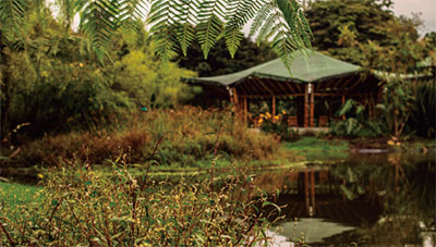 Foto: Jardín Botánico