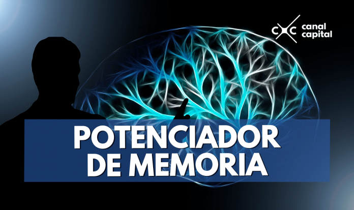 implante cerebral mejora la memoria