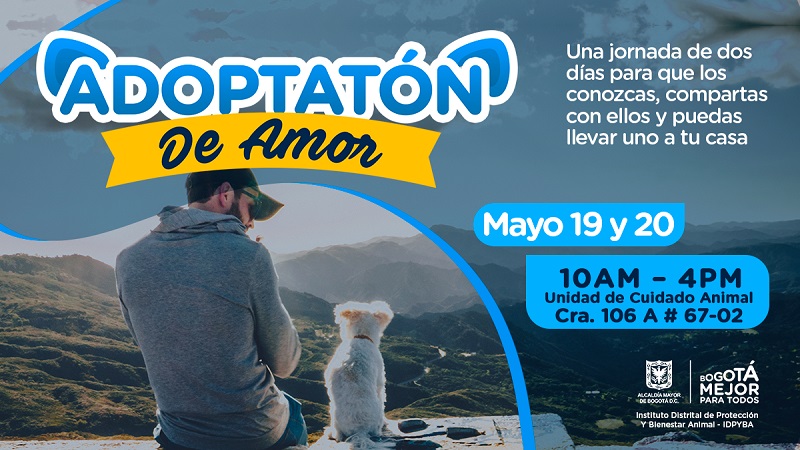 Jornada de adopción de animales en Bogotá este domingo 19 de febrero