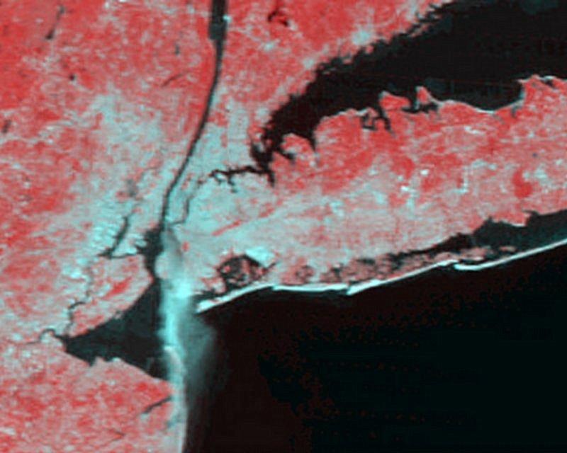 El satélite Terra de la NASA captó esta imagen de una gran columna de humo que fluye hacia el sur desde los restos del ardiente World Trade Center. Créditos: Liam Gumley, MODIS Atmosphere Group, Univ. de Wisconsin-Madison