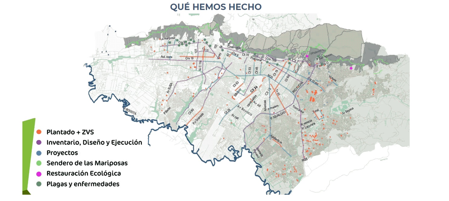 Participa en el proceso de arborización de Bogotá