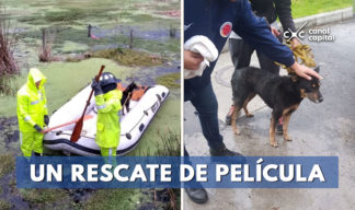 rescatan perrito fuertes lluvias
