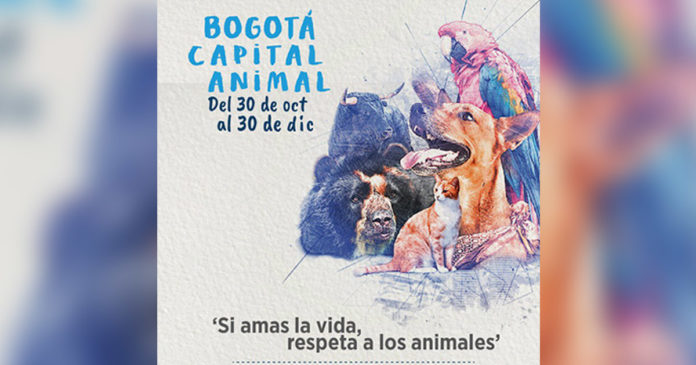 Participe de Bogotá Capital Animal hasta el 30 de diciembre
