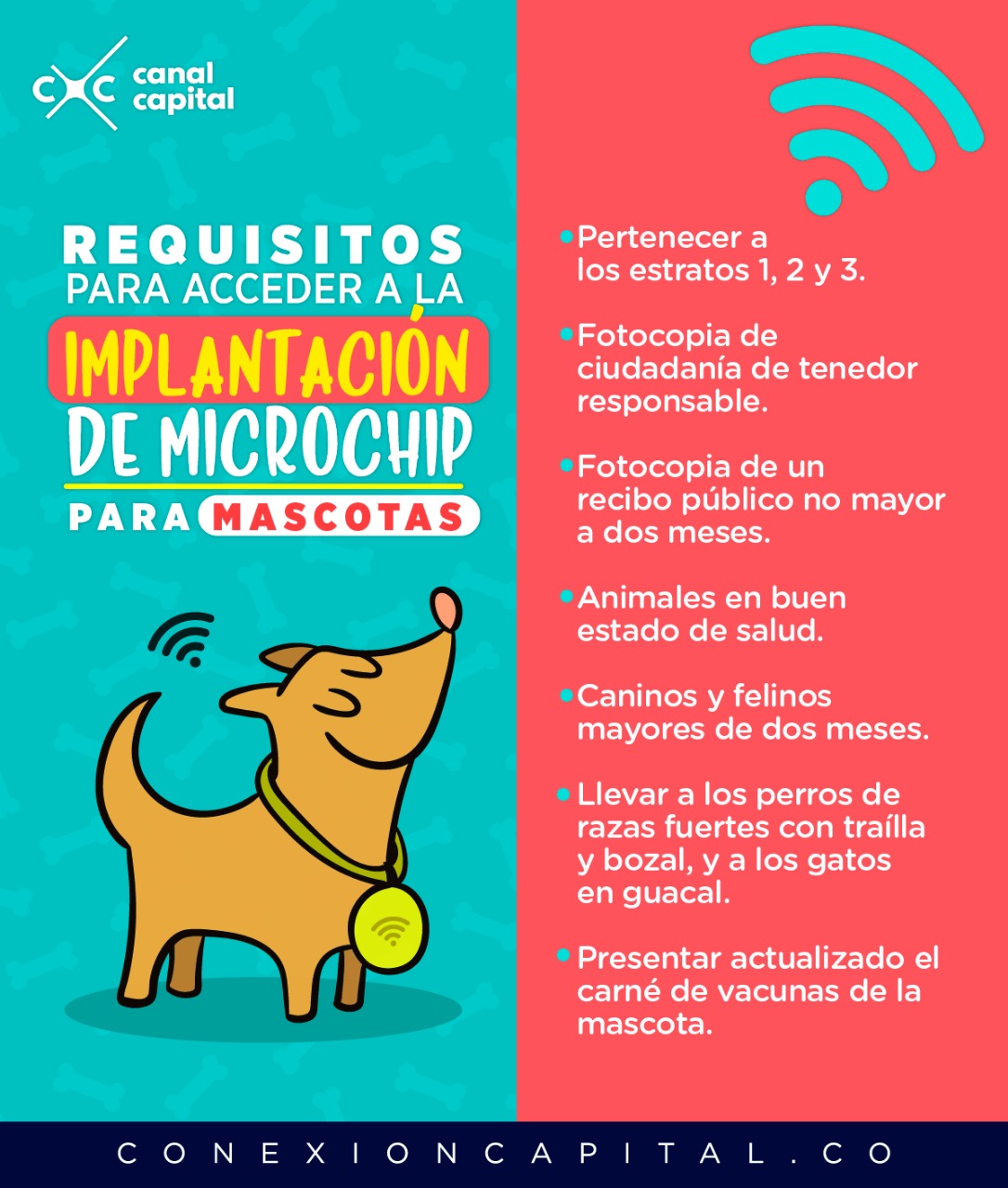 Desconexión Presentador barrer para que sirve el microchip de los perros, Veteinario domicilio en Madrid  poner micro y - la-palmera.es