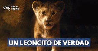 se conoce nuevo tráiler de película El Rey León