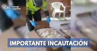 Policía incautó 31 kilos de marihuana en El Dorado