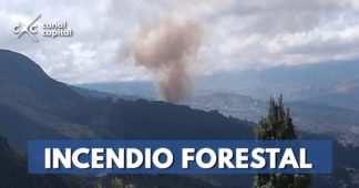 Bomberos de Bogotá controlan incendio forestal en San Cristóbal Sur