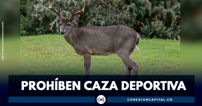 Corte Constitucional prohíbe la caza deportiva en Colombia