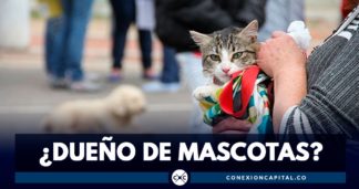 esterilización de mascotas en Bogotá