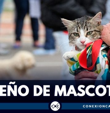 esterilización de mascotas en Bogotá