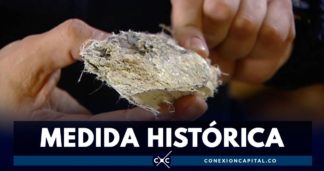 asbesto Colombia
