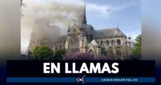 catedral de paris arde en llamas