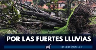 árboles caídos Bogotá