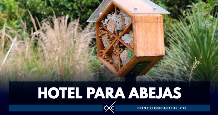 Hoteles para abejas en el Jardín Botánico