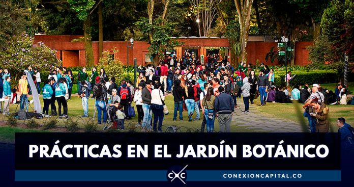 Jardín Botánico de Bogotá busca practicantes