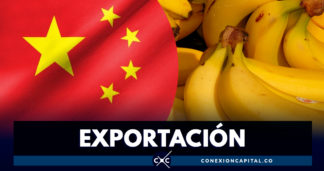 Acuerdo permitirá exportar banano colombiano al mercado chino