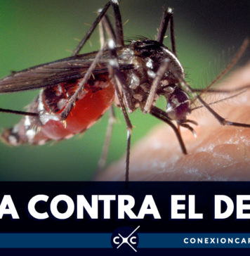 Científicos chinos vuelven infértiles a mosquitos que transmiten dengue