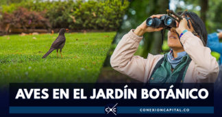 Participe en la jornada de observación de aves en el Jardín Botánico