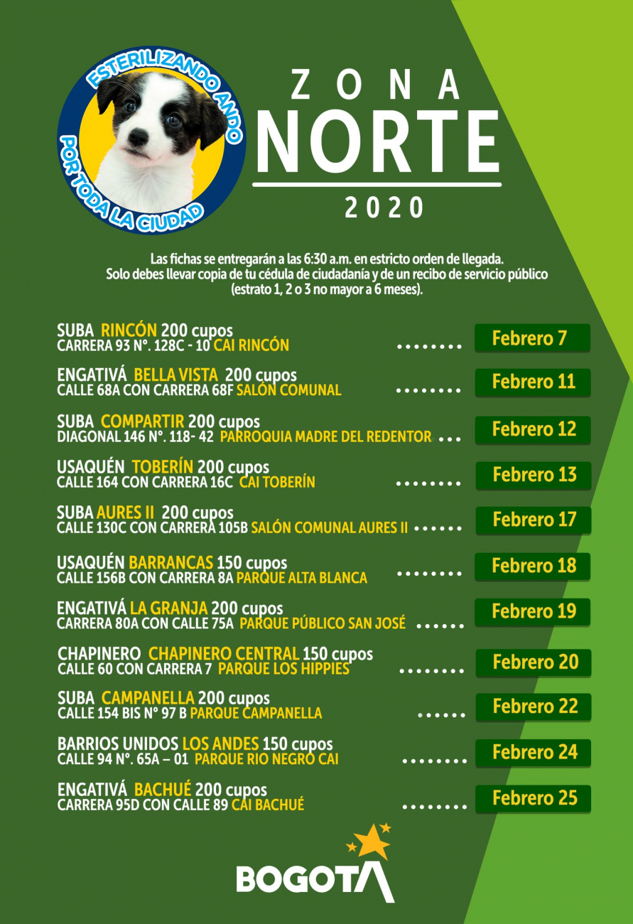 Jornadas gratuitas de esterilización para mascotas en Bogotá