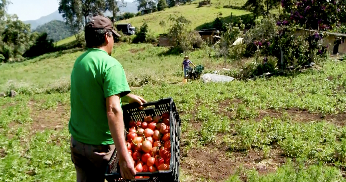 En Tenjo Inició Un Programa Para Apoyar A Campesinos Colombianos
