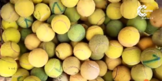 pelotas de tennis